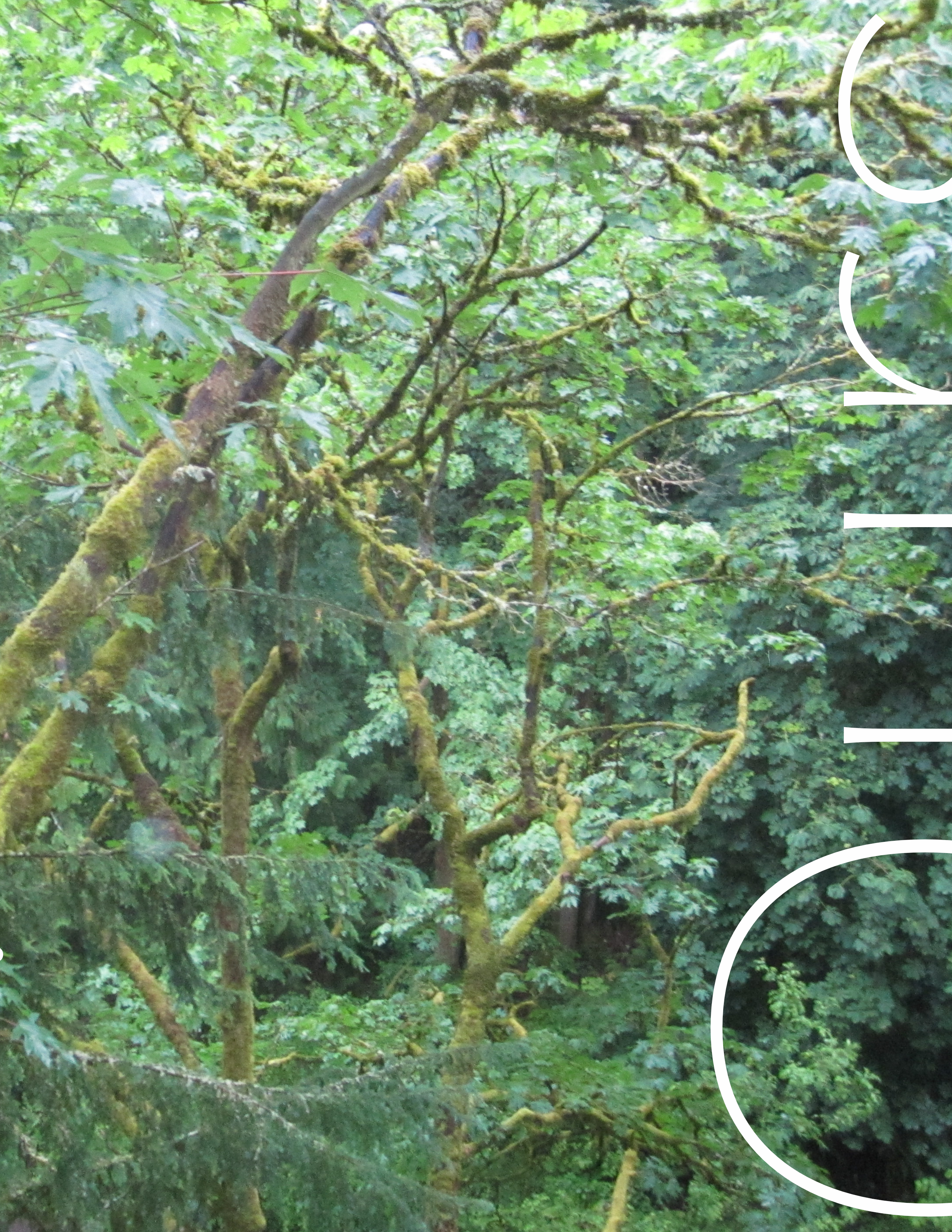 Left photo